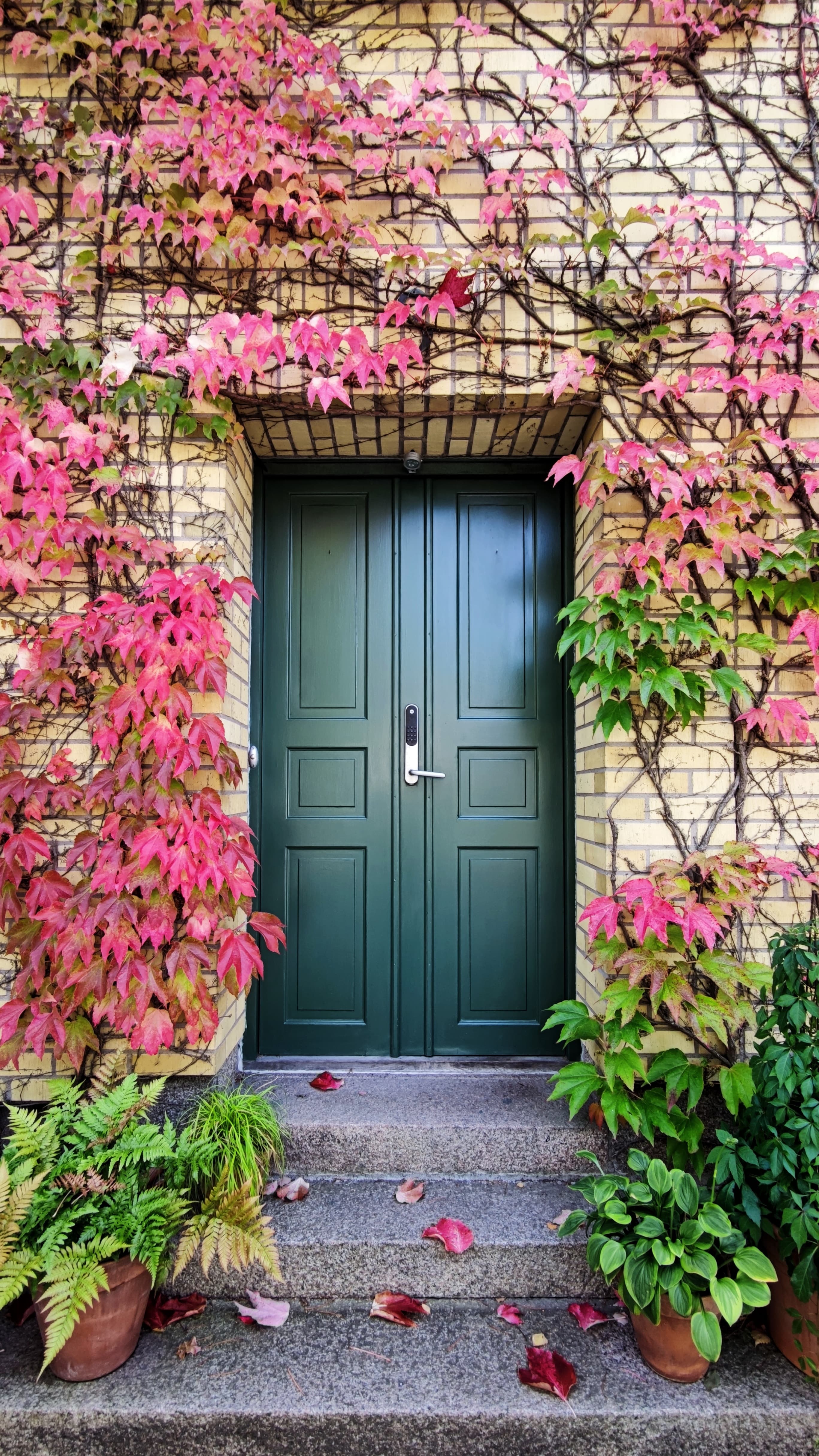 Stylish door